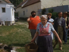 Slunce, seno, erotika