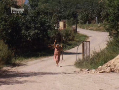 Slunce, seno, erotika