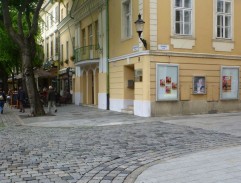 policajná búračka