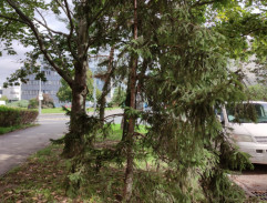 9. Domov jménem Praha