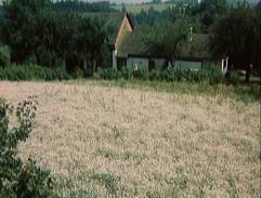 Jak dostat tatínka do polepšovny