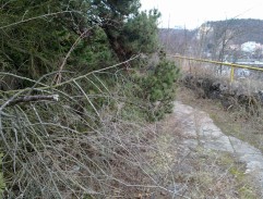 záhradná reštaurácia