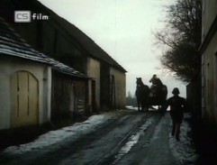 Koňské spřežení