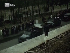 Proč nevěřit na zázraky