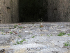 Rotgier padá z věže