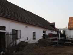 Předseda s trakařem