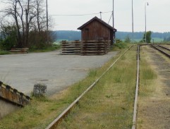 Výpravčí vyhání husy z kolejiště