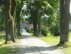 Matylda jede do města