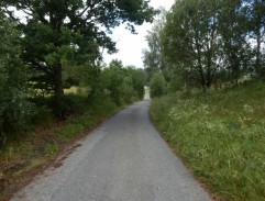 Chladilová nese chrastí