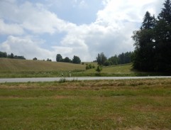 Vozka jede po silnici