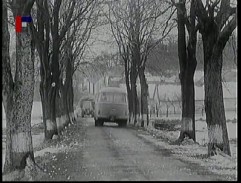 Matylda jede do města