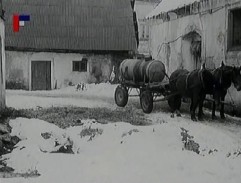 Vozka se dívá skrz okno