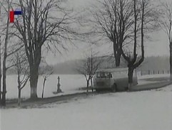 Silnice lemovaná stromy