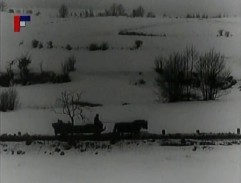 Vozka jede po silnici