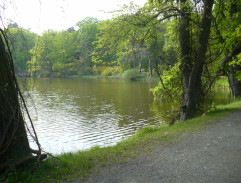 Rybník s kamenným mostem