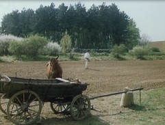 louka, na které bude bojiště