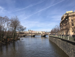 Běloušek hledá Peta