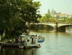 Běloušek hledá Peta