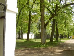 Kandrt pronásleduje Jožina