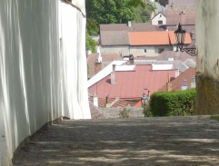 Jožin uplácí známého