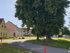 Povozník jede domů