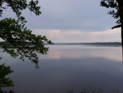 Petr Vok a francimor