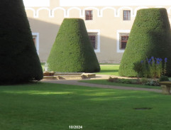 Zpěvák u Kateřiny z Ludanic