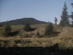 Pod Jezevčí skálou