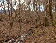 Poručík Růžička z Janou