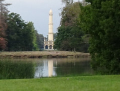 Král běží za královnou