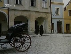 Němcová opouští dům