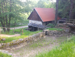 Hledání Komenského