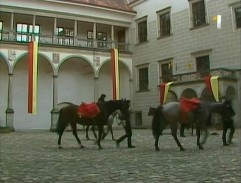 Tajemství štěstí