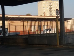 Zátah v masokombinátu