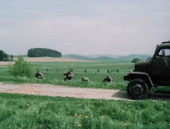 krajina pri rybníku