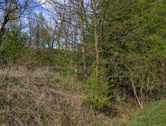 Copak je to za vojáka...