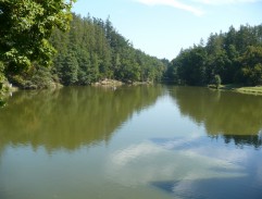 Dr. Jirsa háže kartu