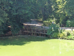 Pronásledování pachatele