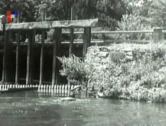 Pronásledování pachatele