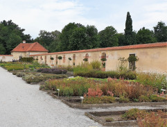 Lauretta jí se Siccem