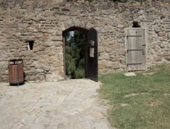 Ridley, Snails a Savina na trhu