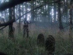 Bajnyš na hřbitově