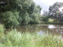 rybník - Višňová