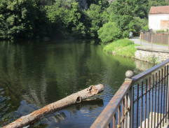 Lorenzo a Tobiáš u řeky