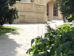 Mahulena běží pro bylinkářku