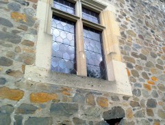 Svědek umírajícího času