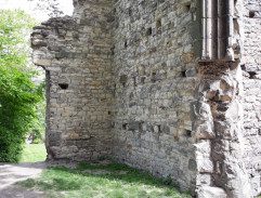 Svědek umírajícího času