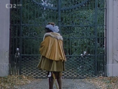 Svědek umírajícího času