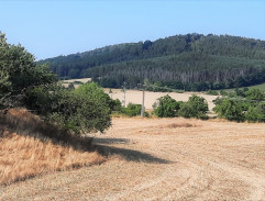 Loučení s mámou II