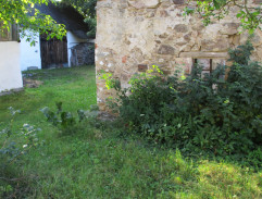 Honza málem králem